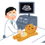 ペットから感染する病気５つ、気をつけたいこと