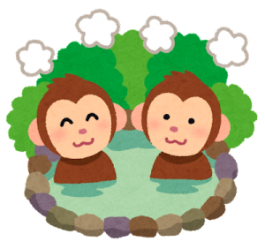 温泉とサル
