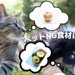 危険！注意！ペットのNG食材