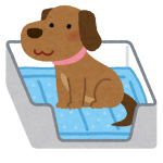 ワンちゃんのトイレトレーニングについて