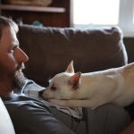 8月26日はアメリカ版「犬の日」 です