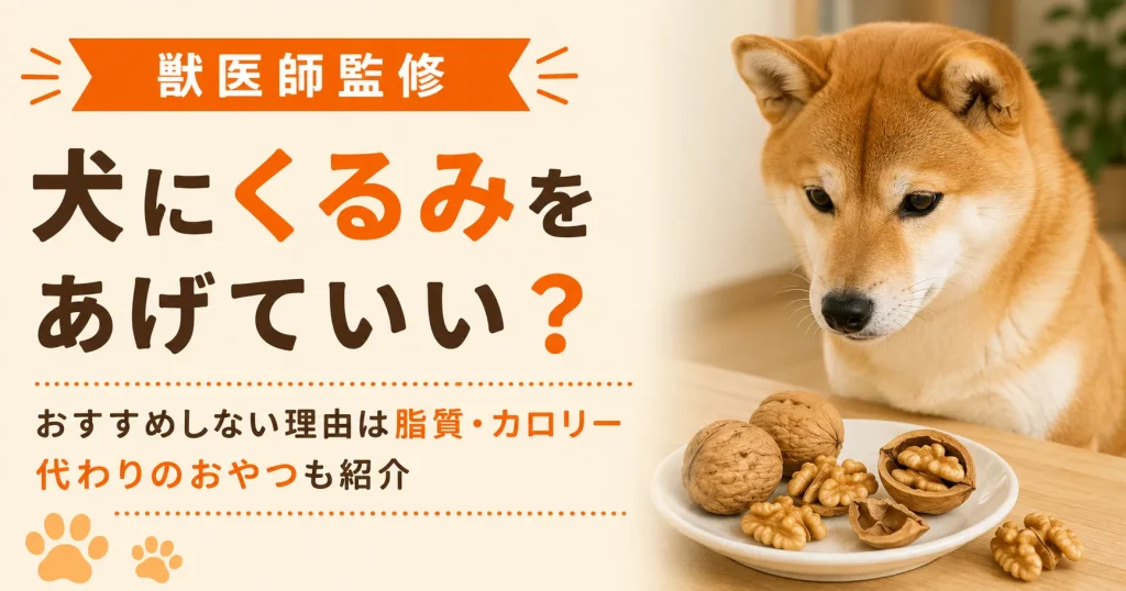 皿に載ったくるみを見つめる柴犬成犬