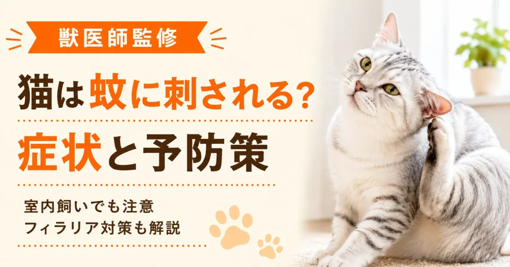 後ろ足で耳の裏をかくグレーの猫