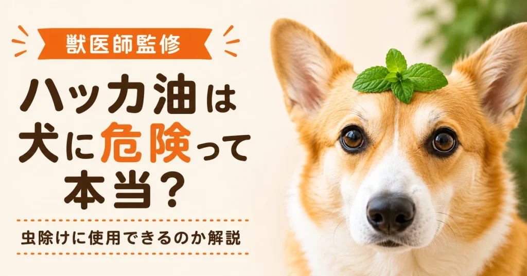 頭にミントの葉を載せたウェルシュコーギー