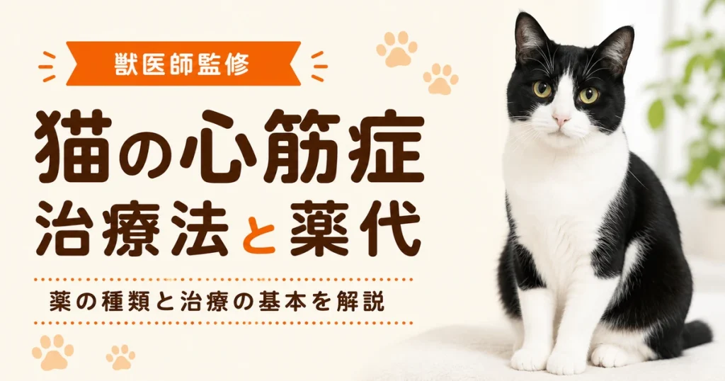 白黒のハチ割れ猫がカーペットの上に座っている