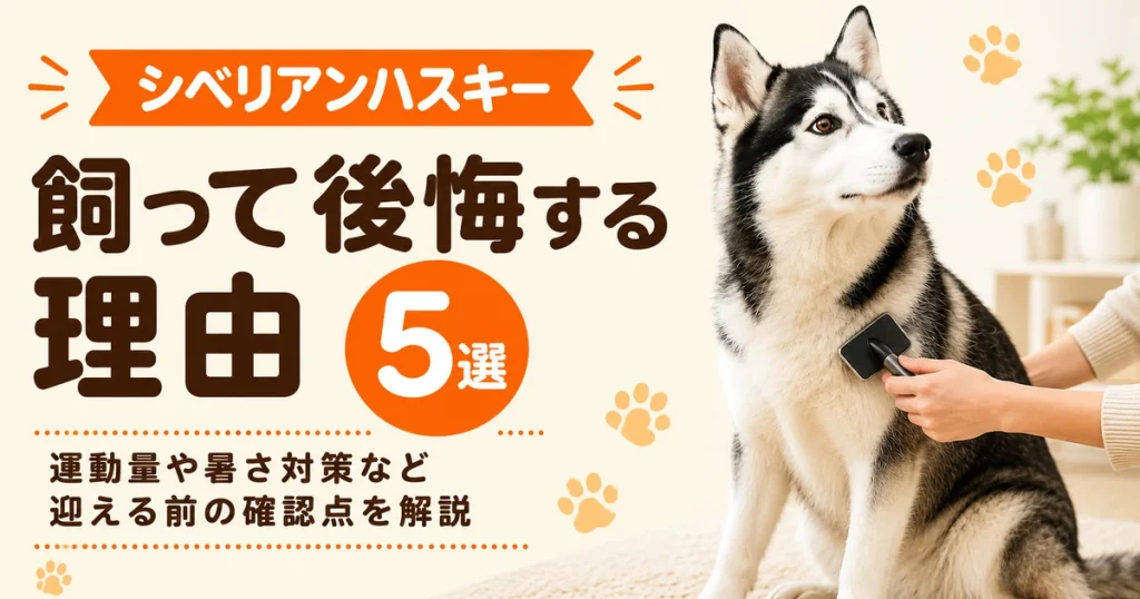 飼い主にブラッシングされているシベリアンハスキーの成犬