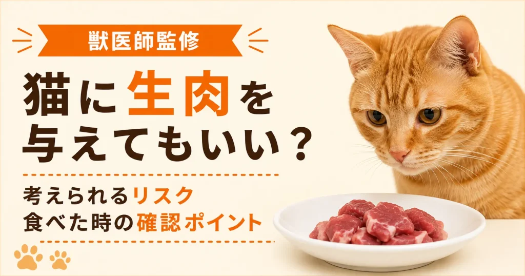 皿に入った生肉を見つめるキジトラ猫