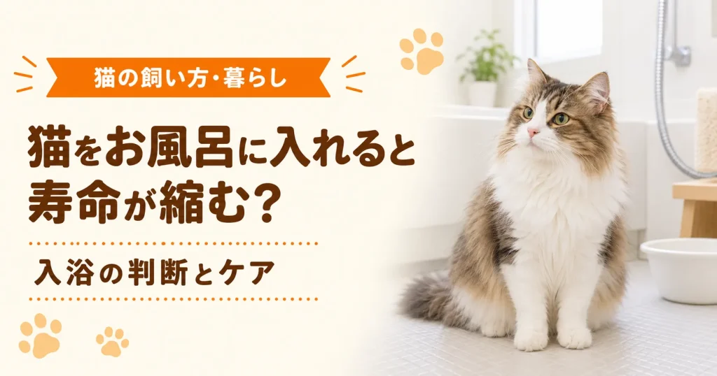 長毛種の猫が風呂場に座っている